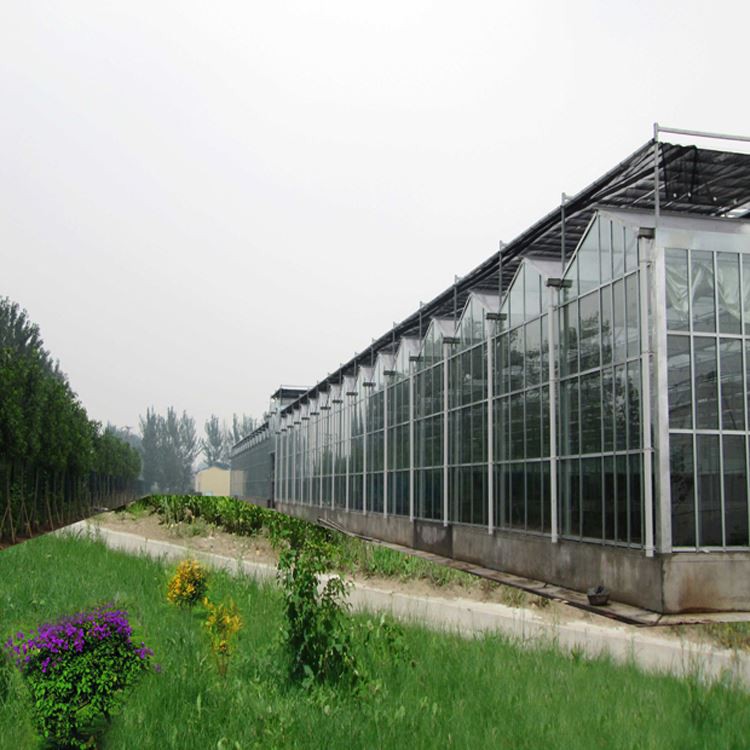 Supporting system and use of glass greenhouse