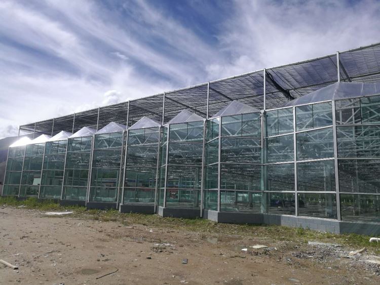 glass greenhouse