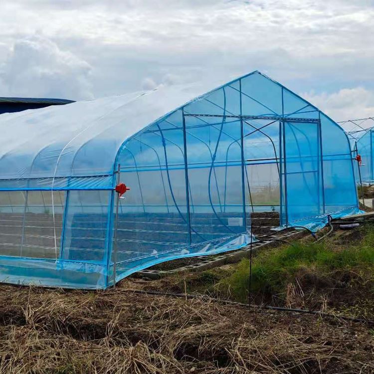 Introduction to the steps of greenhouse construction