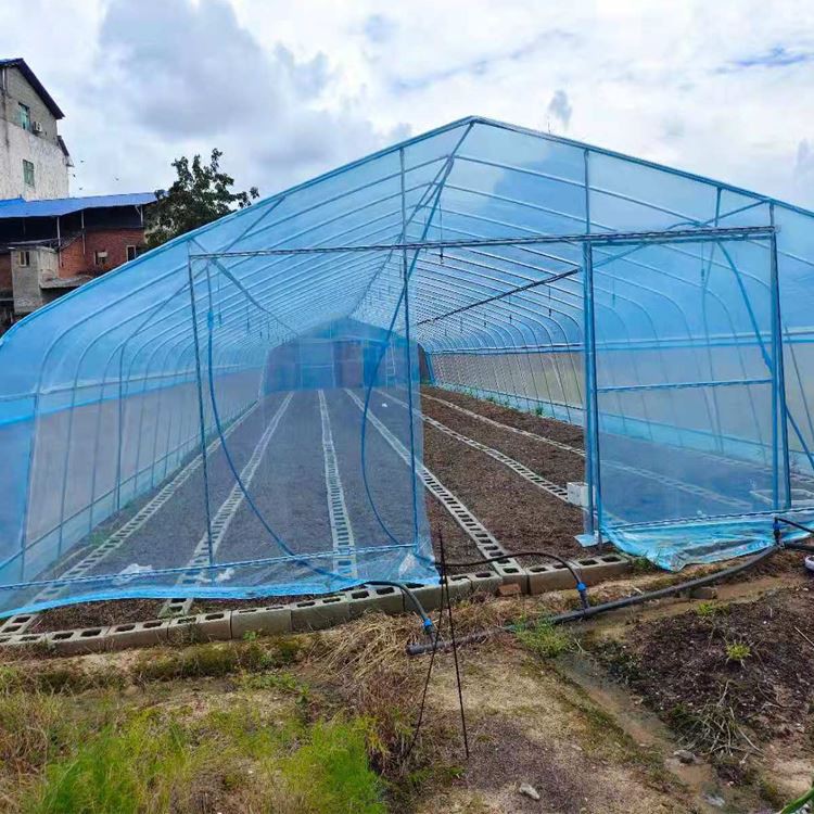 Greenhouse