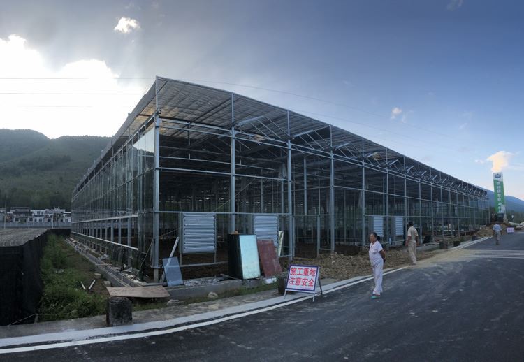 Distinguish the quality of agricultural film in Sichuan vegetable greenhouses