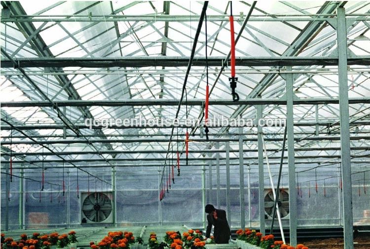 greenhouse