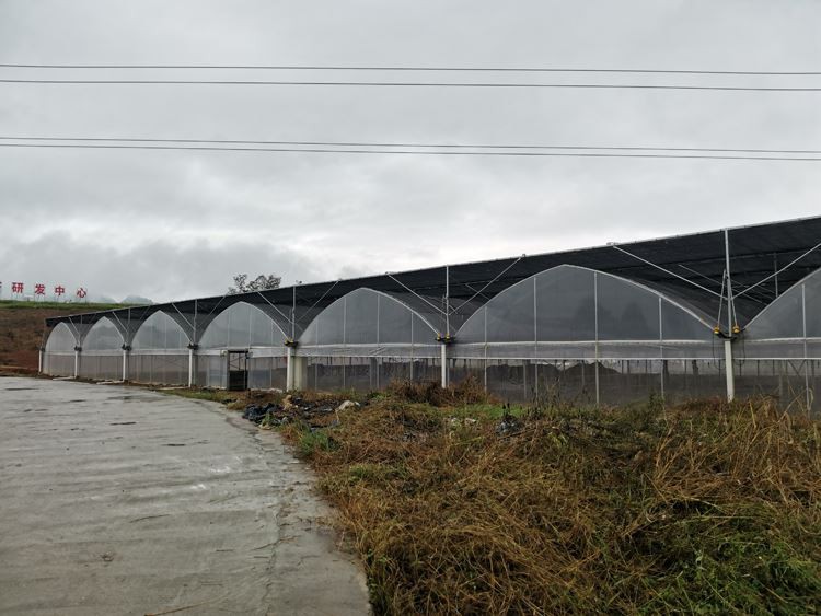 Film greenhouse construction