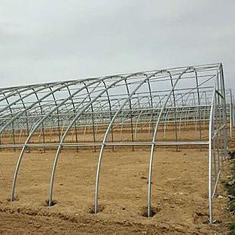 Plastic Film Greenhouse