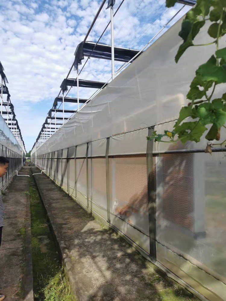 The process and steps of glass greenhouse construction