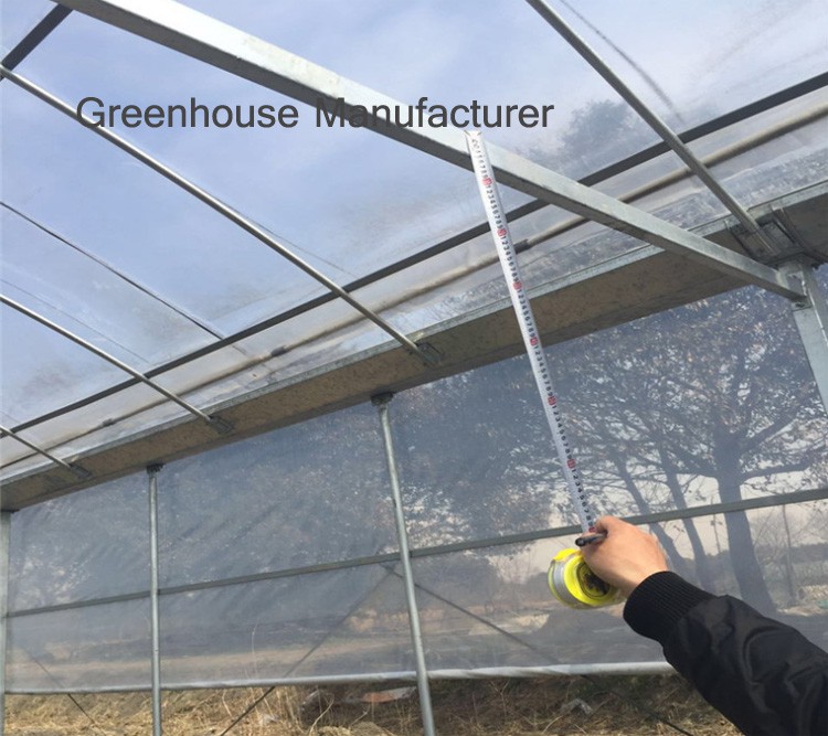 multi-span greenhouses