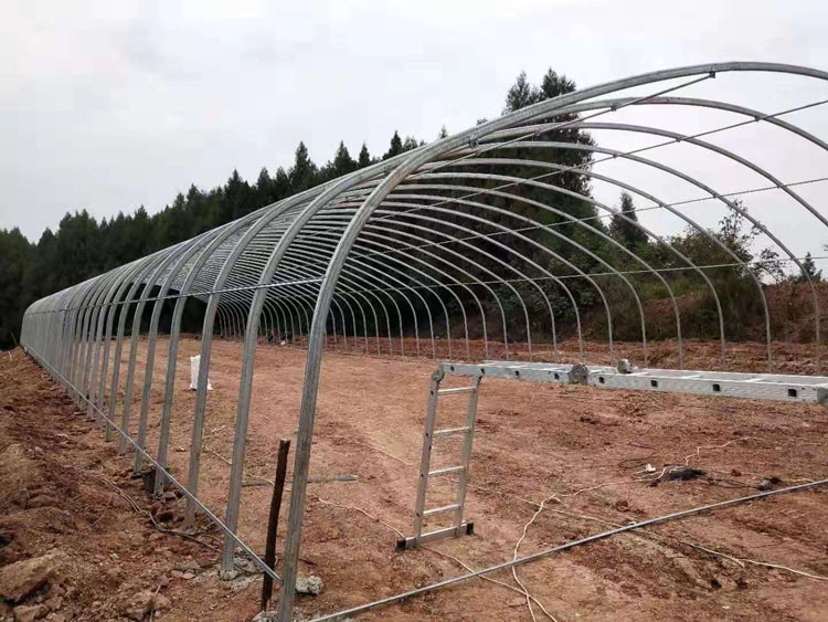 greenhouse construction