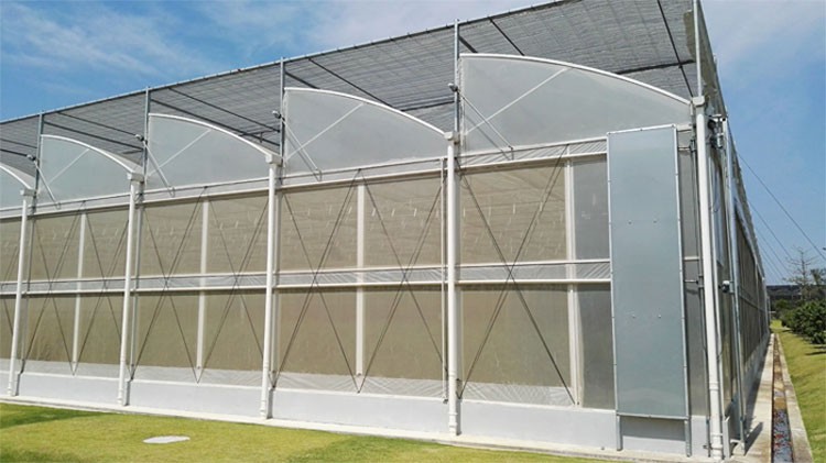 The concept of skylights and the role of sun panels