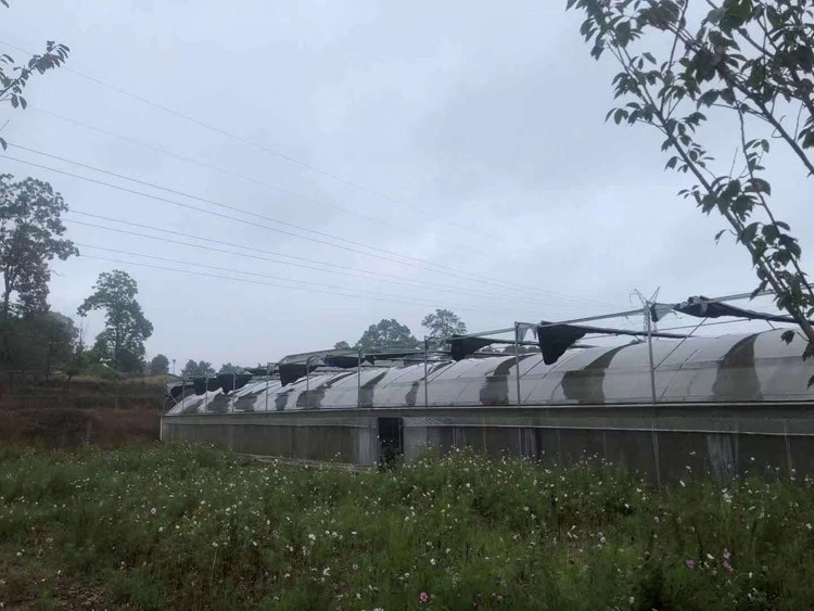 Characteristics of glass agricultural leisure greenhouse