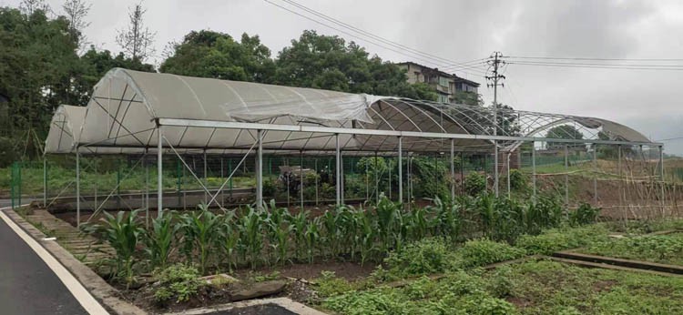Greenhouse