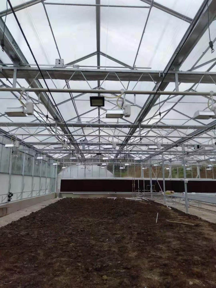 glass greenhouses