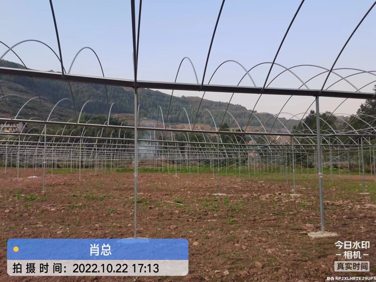 Analysis of the advantages and characteristics of photovoltaic greenhouses