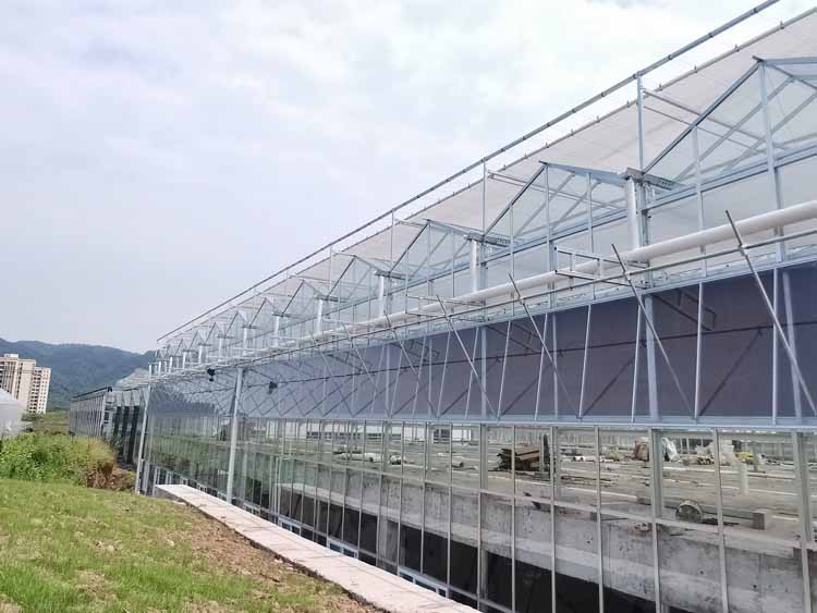 greenhouse skeleton