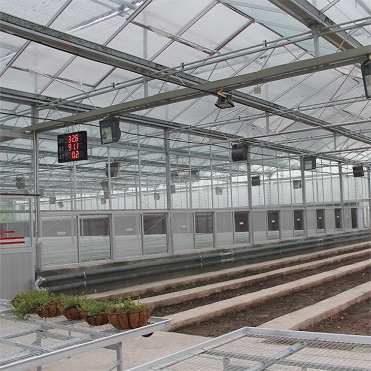 clear polythene sheeting for greenhouse supplier