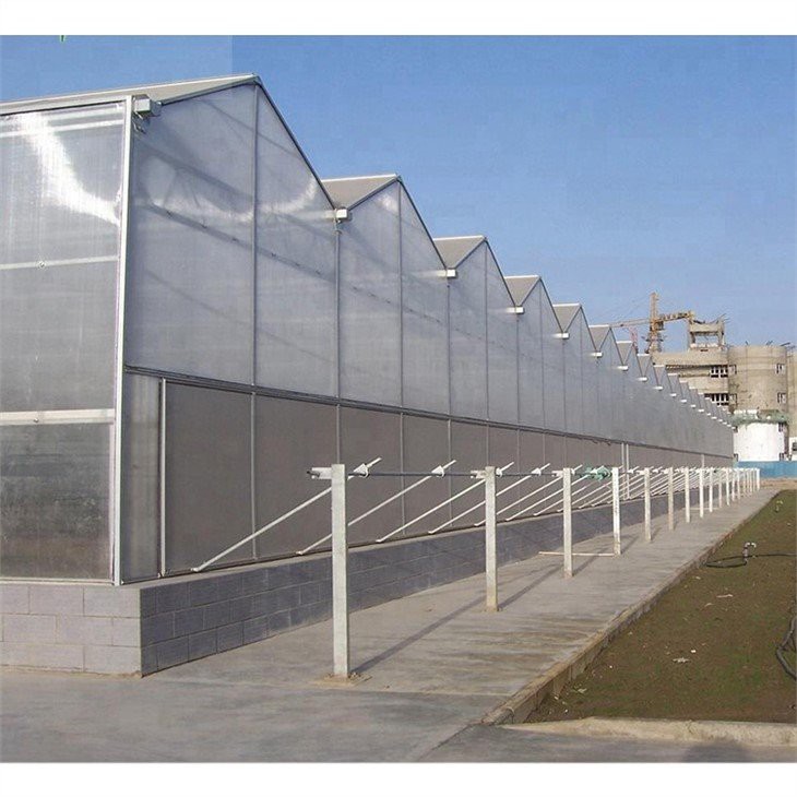 multi span glass greenhouse price