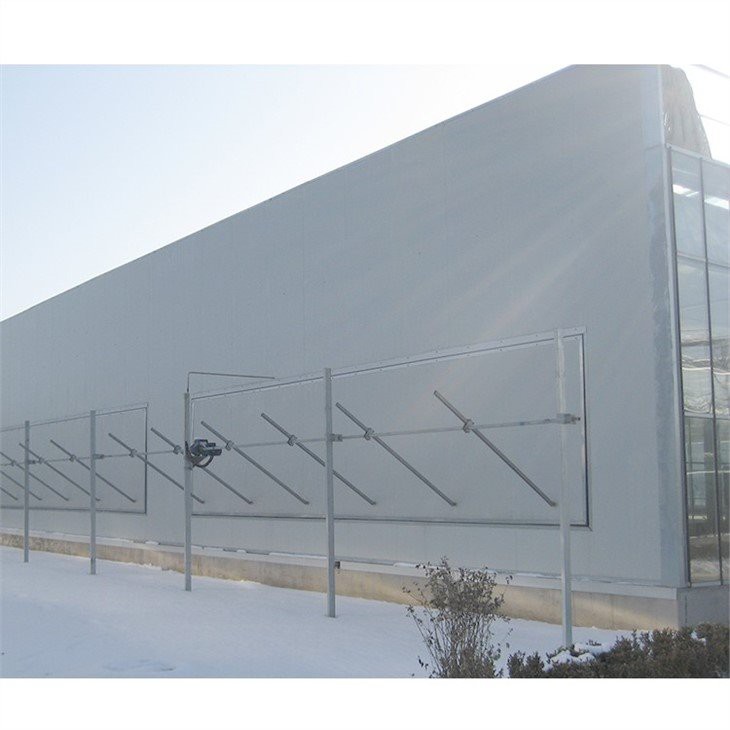 pc greenhouse strawberries made in china