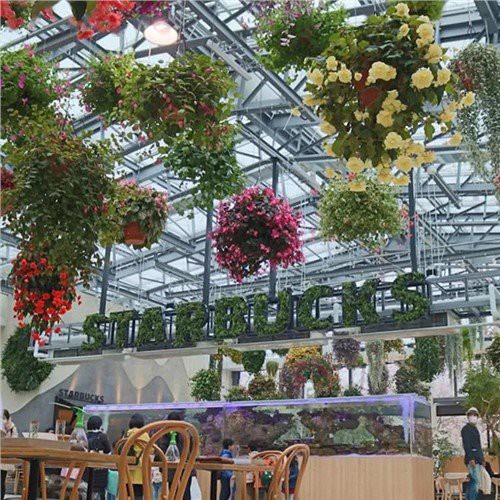 گرین ہاؤس کیفے