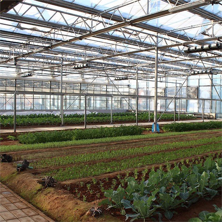 Zigzag multi-span greenhouse factory